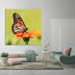 Tablou Canvas DualView Fluturi și Natură DCA005-1