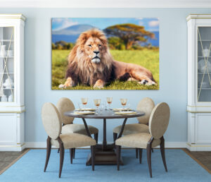 Tablou Canvas DualView Imagini animale sălbatice DCA037-2