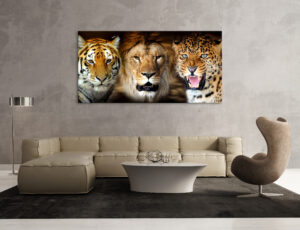 Tablou Canvas DualView Imagini cu feline DCA030-3