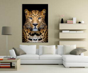 Tablou Canvas DualView Leopard și DualView DCA042-2