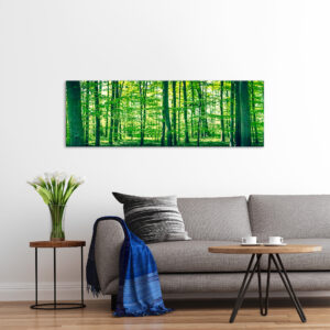 Tablou Canvas DualView Pădurea verde DCL100-4