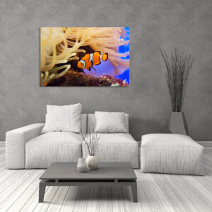 Tablou Canvas DualView Pești tropicali DCA036-2