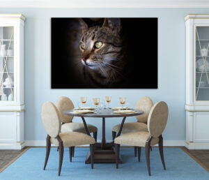Tablou Canvas DualView Pisică cu ochi verzi DCA015-2